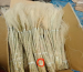 Preserved Cortaderia,10 pcs